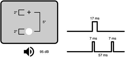 Double Flash Illusions: Current Findings and Future Directions